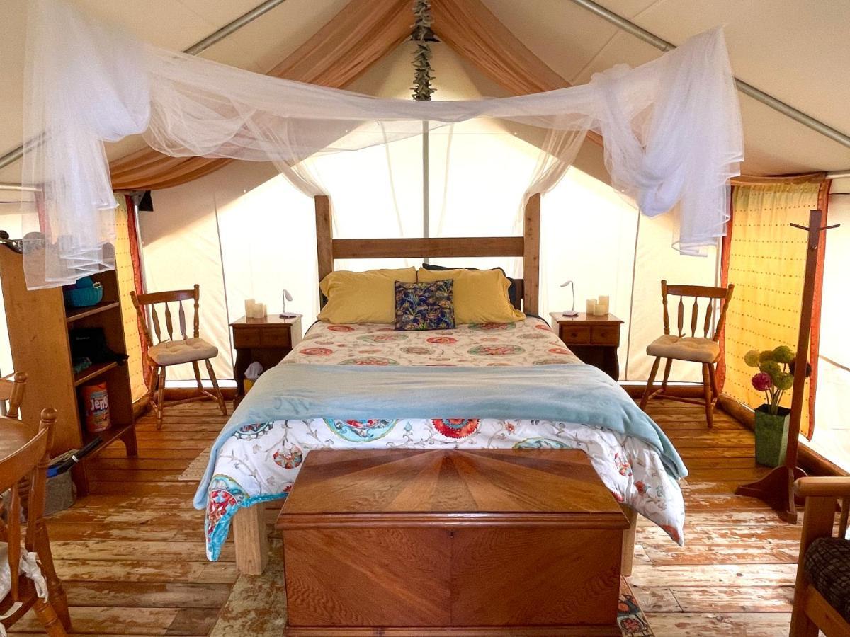 Отель So Damn Lucky Glamping Юклулет Экстерьер фото