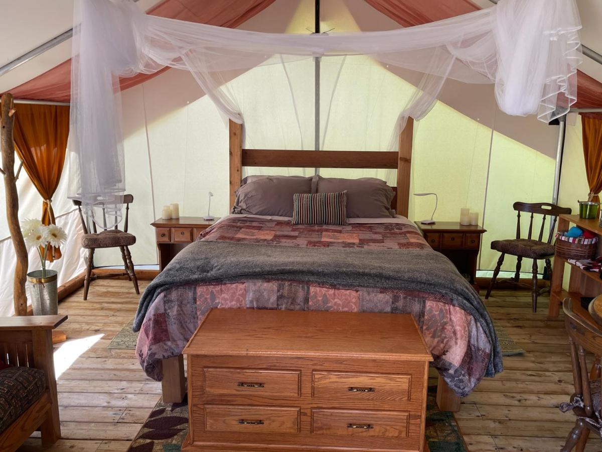 Отель So Damn Lucky Glamping Юклулет Экстерьер фото